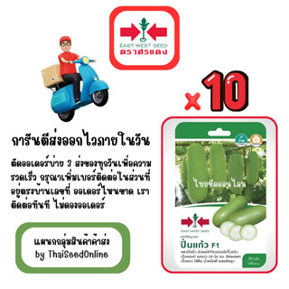 GG x 10 เมล็ดผักซองศรแดง ปิ่นแก้ว แฟง สินค้ายกแพ็ค