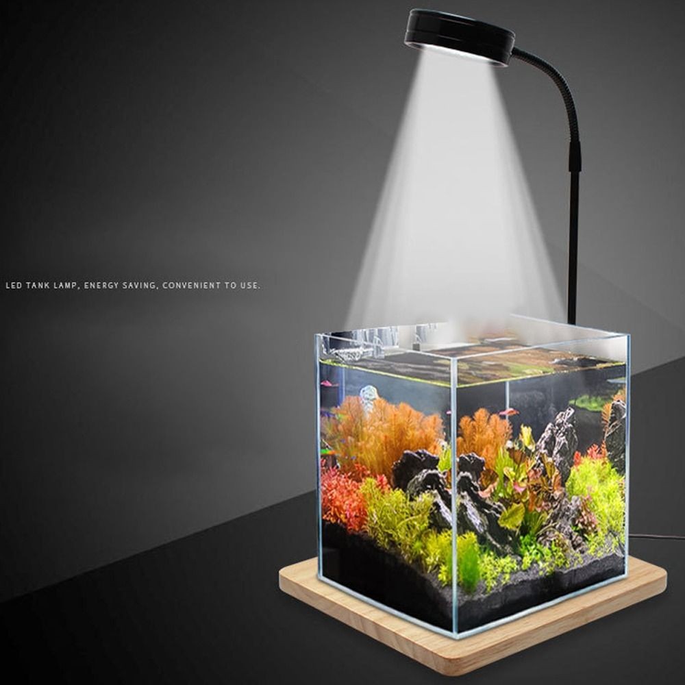 ALPIN ตู้ปลา LED โคมไฟ, 10W Retractable ความสูง Aquarium ภูมิทัศน์ไฟ,แบบพกพาพร้อมบอร์ดไม้ประหยัดพลังงาน USB ชาร์จพืช Growth Light Aquarium Lighting ราคา ถูกที่สุด ดีลบีเคเค แกลเลอรีภาพที่ 3