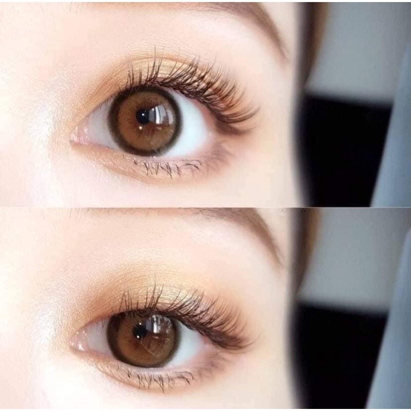 คอนแทคเลนส์(มินิ)🔥Sweet Basil🔥(Lovelylens) สี : Brown / Gray รายเดือน มีค่าสายตา