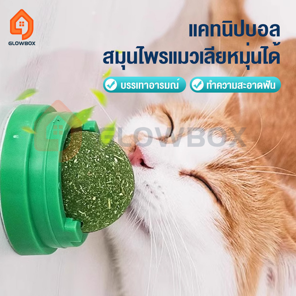 GB. บอลแมวเลีย แคทนิปบอล กัญชาแมว แคทนิปแมวเลีย catnip ball ขนมแมวเลีย ติดกำแพง สมุนไพรแมวเลียหมุ่นได้ ไม่กลิ้งหาย