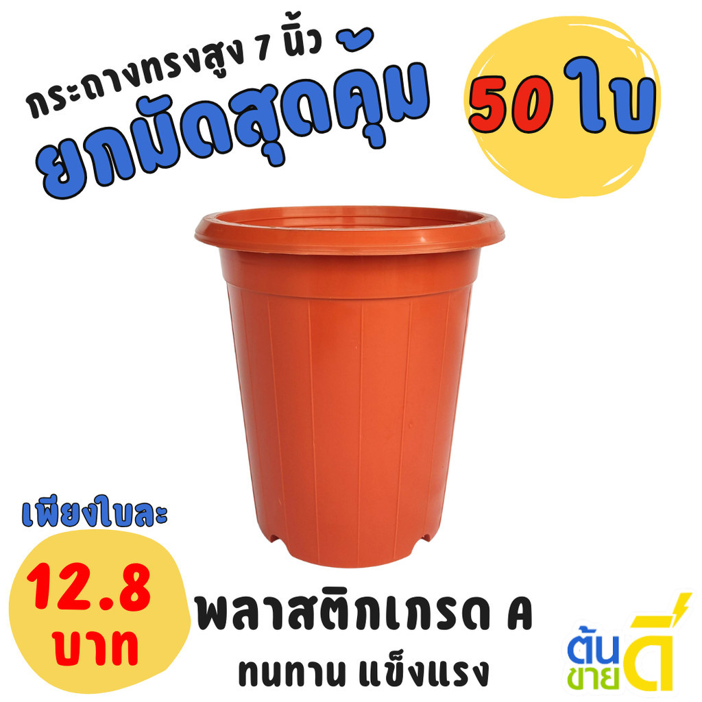 กระถาง แคคตัส ไม้กราฟ ทรงสูง 7 7.3 8 นิ้ว สีอิฐ เขียว เทา น้ำตาล โอ๊ค Bundle 20 ใบ ชิ้น อัน