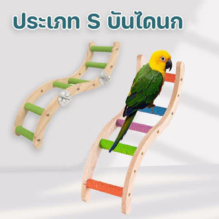 ของเล่นนก บันไดนก นกแก้ว ของตกแต่งกรง ติดตั้งในกรง