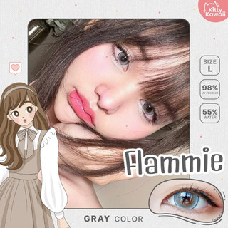 🔥คอนแทคเลนส์ ❤️Size : L❤️รุ่น Flammie (kittykawaii) สี : Brown/Gray