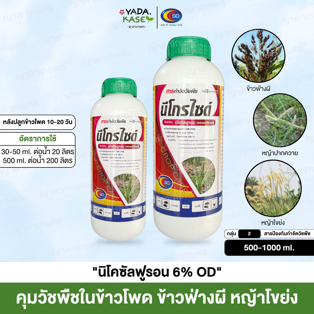 🌤 นีโกรไซต์ (นิโคซัลฟูรอน 6%) กำจัดวัชพืชในไร่ข้าวโพด หญ้าโขยง ข้าวฟ่างผี ข้าวโพดผี หญ้าปากควาย / SC