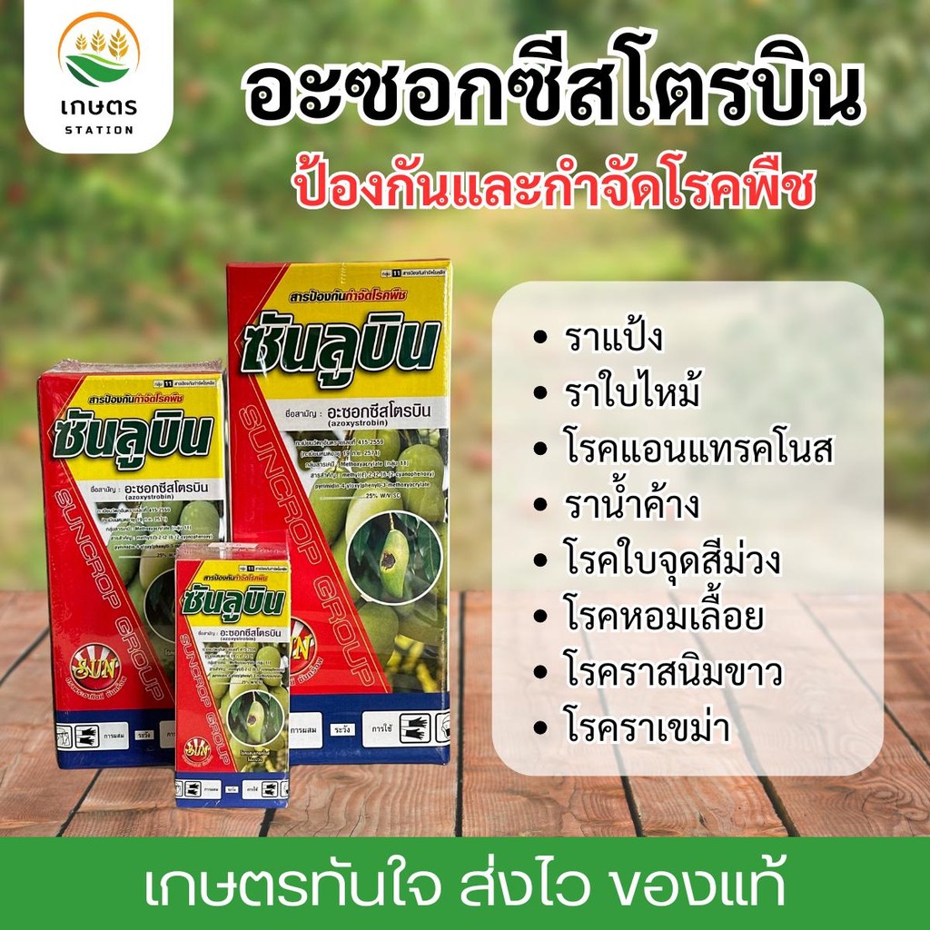 ซันลูบิน อะซอกซีสโตรบิน สารป้องกันโรคพืช ยาเชื้อรา