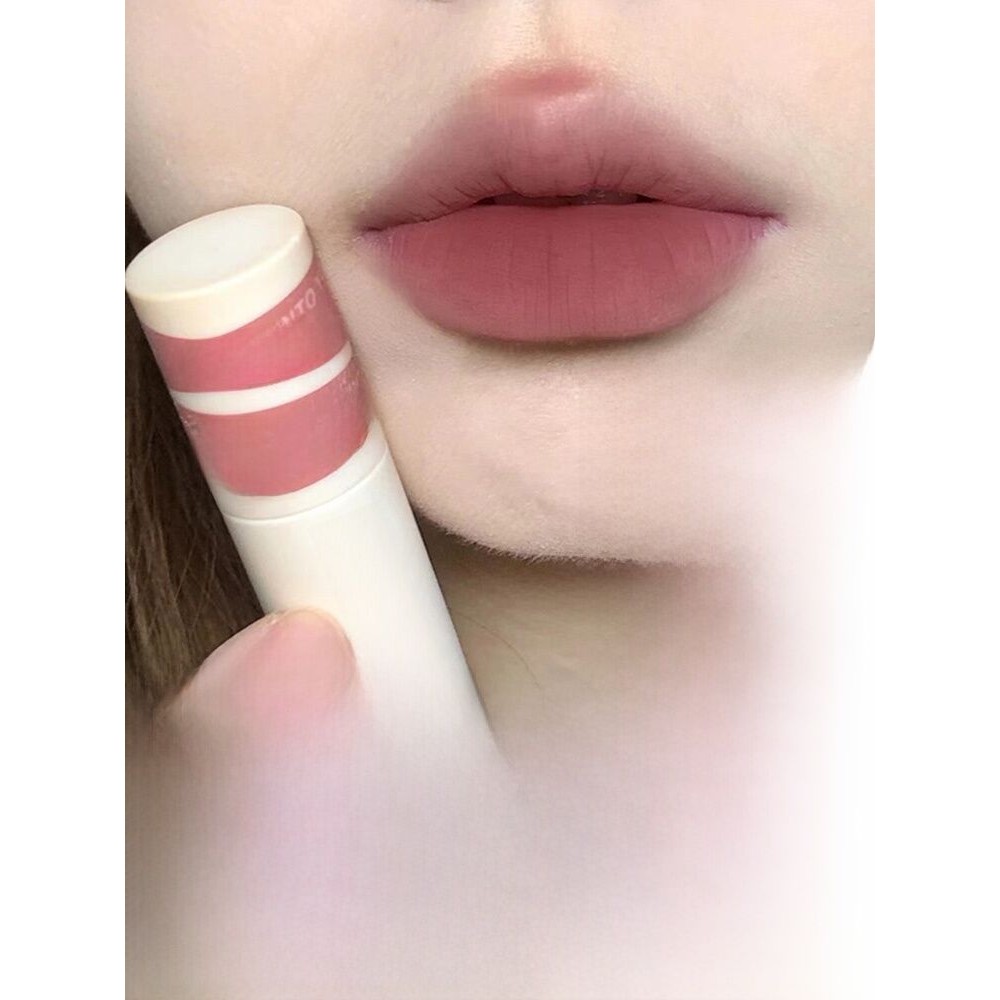 Into YOU Matte Lipstick New Pink Grey Matte Lip EM10 Low Intensity Matte Lipstick for Women Thin Mat