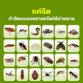 🔥กำจัด เหา ไร เห็บ หมัด ฉีดเดียวก็ตาย สเปรย์กำจัดเห็บหมัด500ml สูตรพืช สัตว์เลี้ยงเลียได้ ยาฆ่าเห็บหมัด ได้ผล1000%