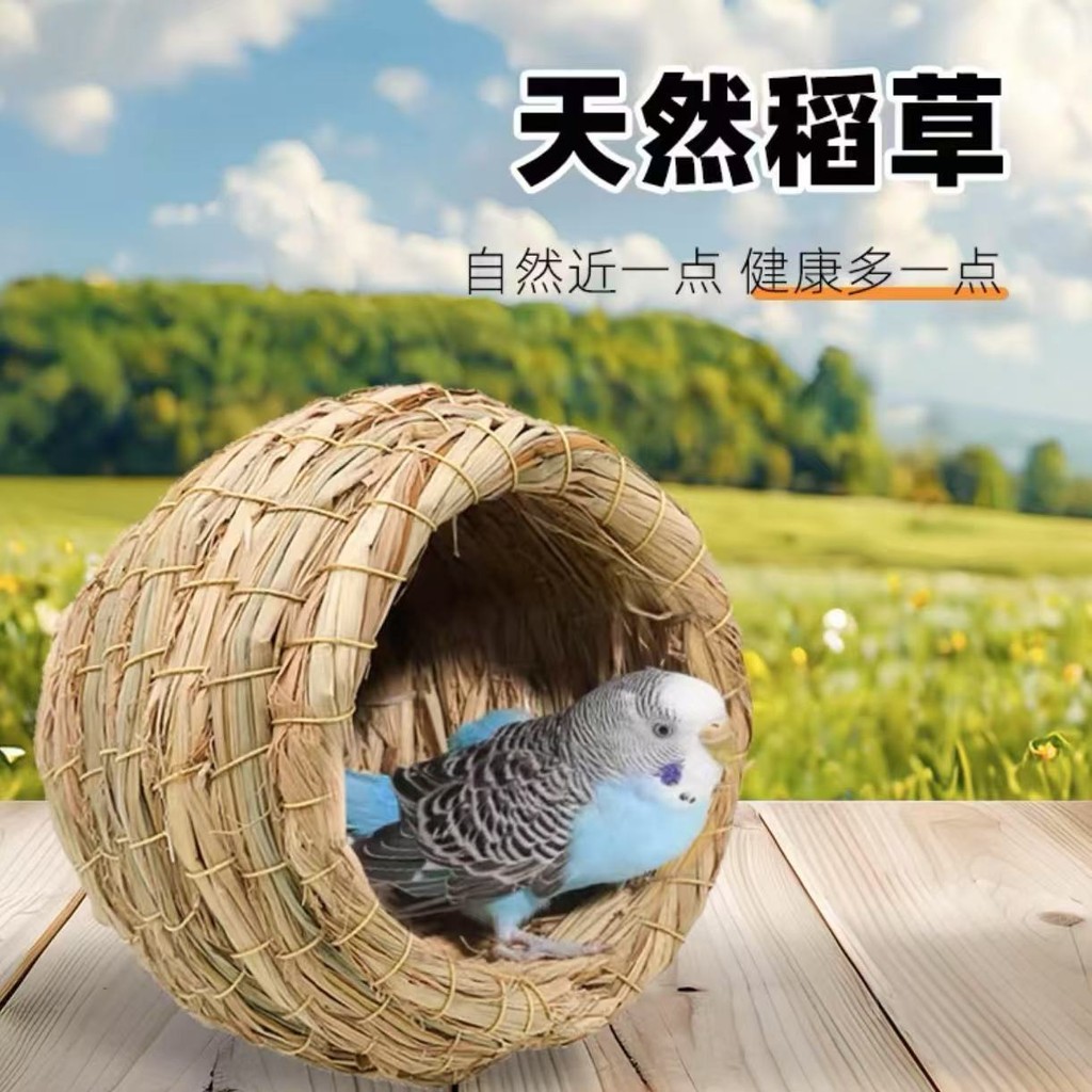 . ibskino Gummian Pineapple丹草保湿shao shiuntuo tanture producth Tiger skin parrot, Lu Ding chicken, Xu