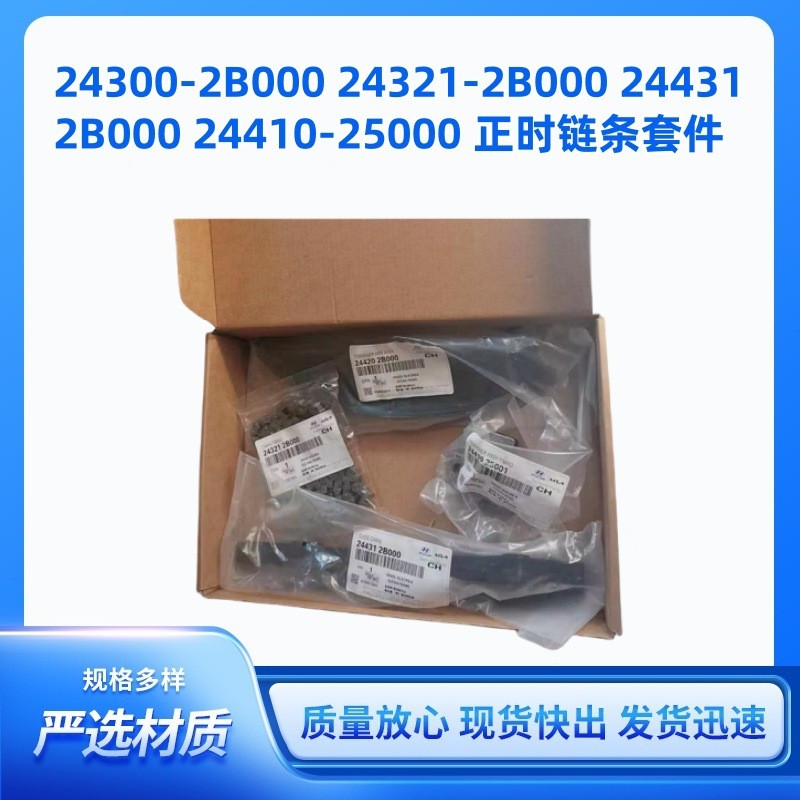 24300-2B000 24321-2B000 24431-2B000 24410-25000 正时链条套件
