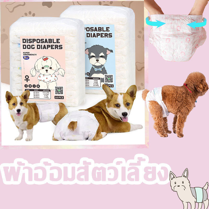 COD ผ้าอ้อมสัตว์เลี้ยง Doggy ปัสสาวะ กางเกงสรีรวิทยาสำหรับสุนัข เมนส์กางเกงใน แผ่นป้องกัน ป้องกันการล่วงละเมิด