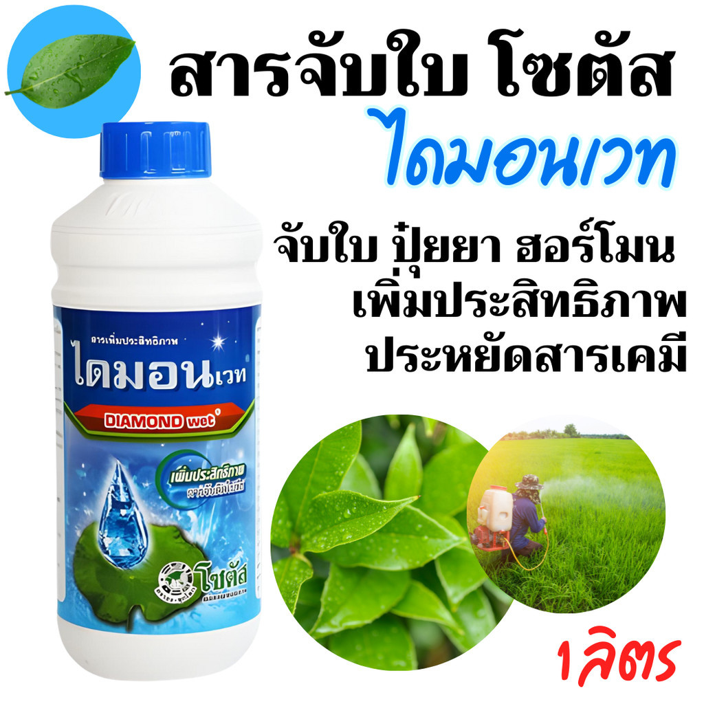 [โซตัส] ไดมอนเวท จับใบ ช่วยให้สารเคมีจับติดแน่นทั่วพื้นผิว ลดการชะล้างจากฝน และน้ำค้าง ขนาด 1 ลิตร