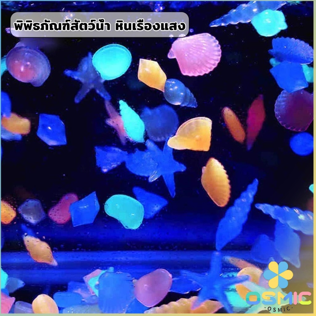 MIC หินเรืองแสง รูปหอยสังข์ ตกแต่งสวน หรือตู้ปลา ขนาดหิน 2-3cm Luminous Stone - รูปที่ 3