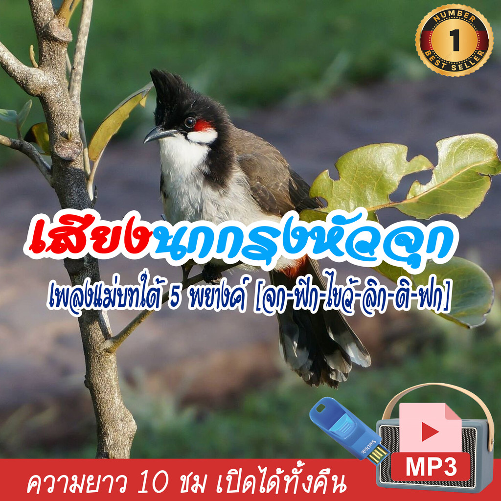 เสียงนกกรงหัวจุก (ชุดที่ 20) เพลงแม่บทใต้ 5 พยางค์ (จก-ฟิก-ไขว้-ลิก-ติ-ฟก) แฟลชไดร์ฟ USB เสียงนกแท้ เสียงดังฟังชัด100% ราคา ถูกที่สุด ดีลบีเคเค แกลเลอรีภาพที่ 3