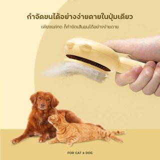 แปรงขนแมว Aiwo แท้ หวีแปรงขนสัตว์ หวีกำจัดขน สำหรับสุนัขและแมว