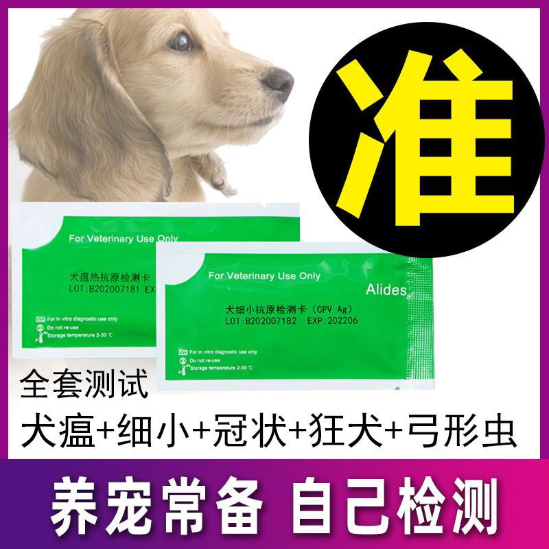Eric Test Paper Dog Fine Puppy Plague Bow Shape Bug Test Virus Test Paper Three-in-One Wild Dog Test