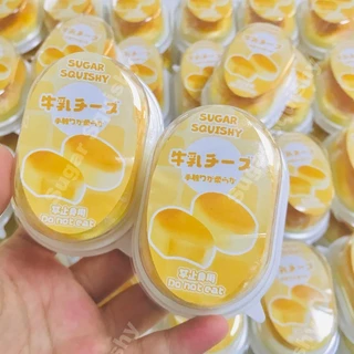 สกุชชี่น้ําตาล เค้กชีสชนิดบรรจุกล่องน้อย สกุชชี่ที่เพิ่มขึ้นช้า