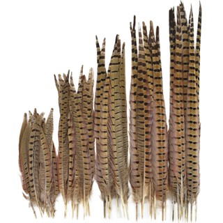 10 ชิ้น/ล็อต Prime ธรรมชาติ Ringneck ไก่ขนนกสําหรับงานฝีมือ …