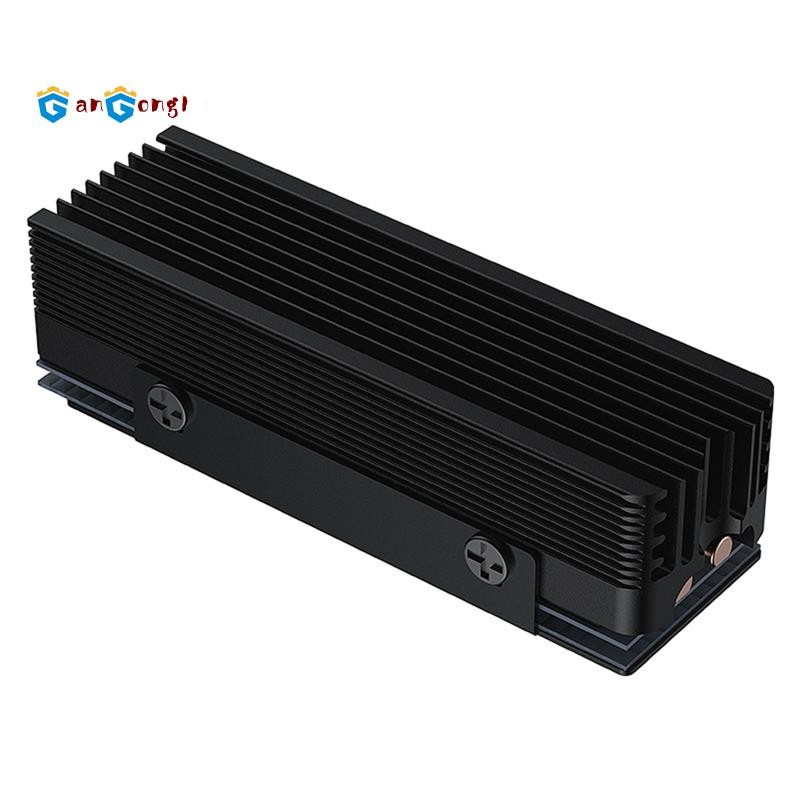 [gangong1]SSD หม้อน้ํา M.2 2280 SSD หม้อน้ําสําหรับ M.2 NVMe 2280 SSD 2 ท่อความร้อน M.2 SSD หม้อน้ํา