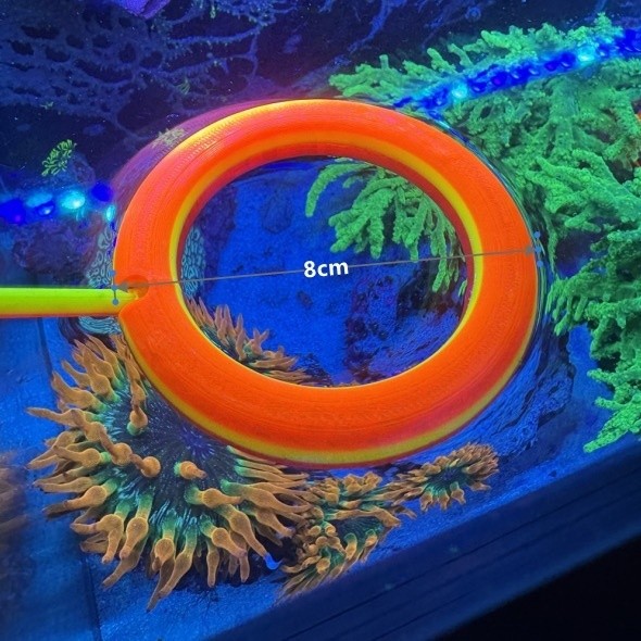 Night glow Fish Food Feeding Ring Aquarium Fish Tank Fish Feeder For Tropical Fish Food Feeding Assi