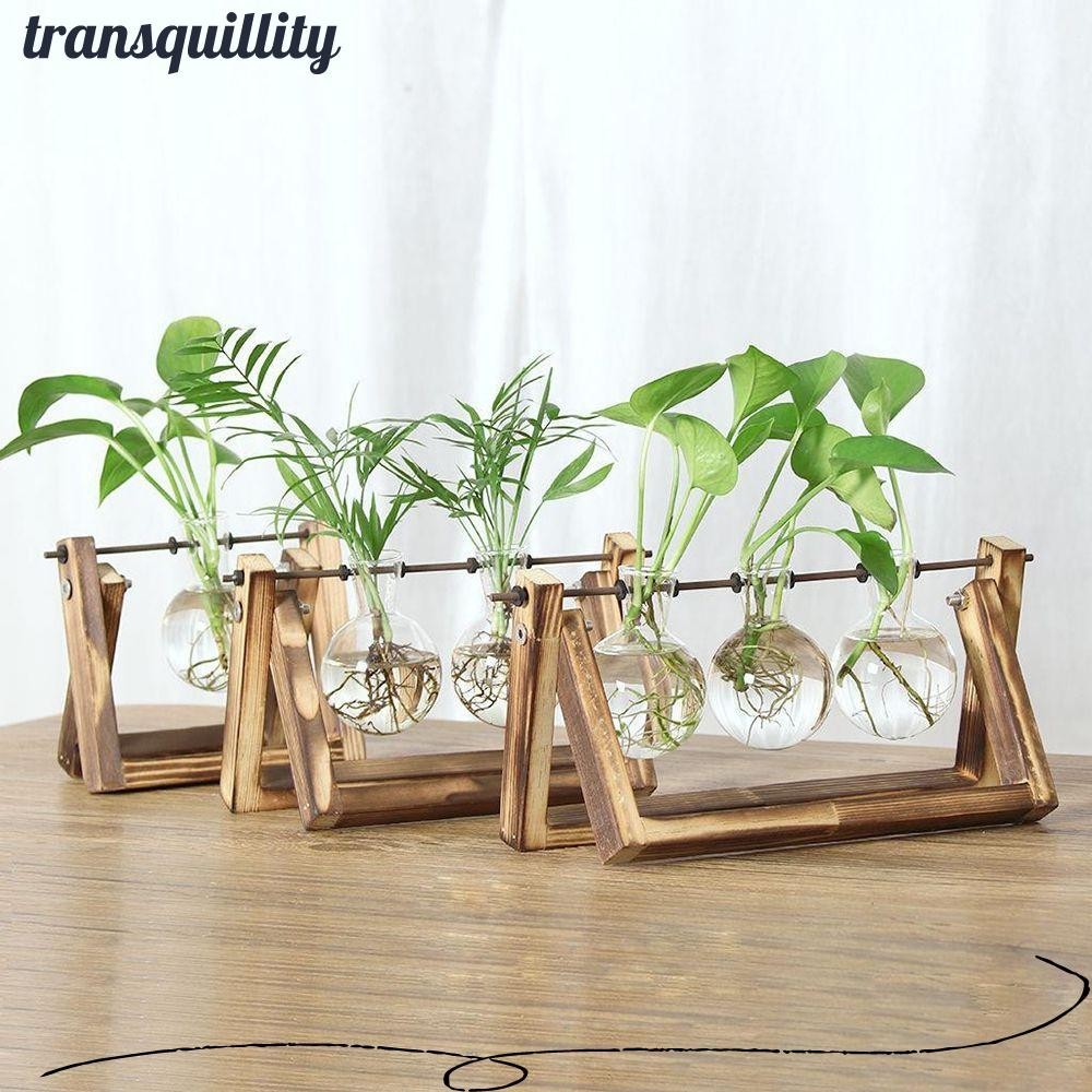 Transquillity แจกันแก้วตกแต่ง Terrarium โต๊ะชาวไร่กระถางดอกไม้