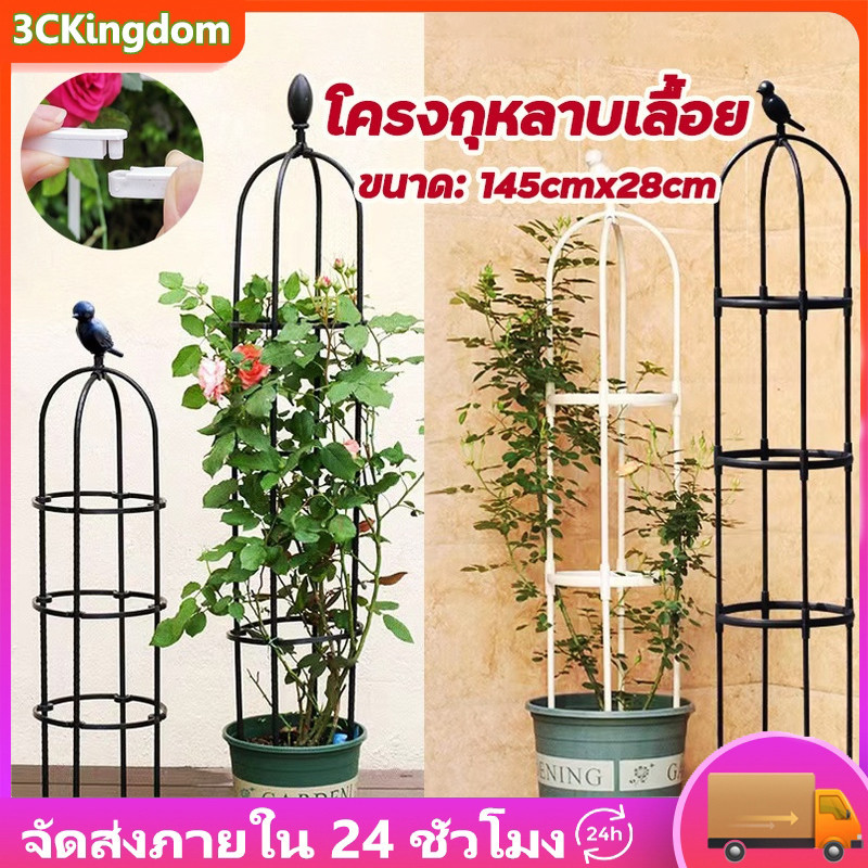 ซุ้มกุหลาบ ซุ้มกุหลาบเลื้อย 145cm*28cm โครงกุหลาบเลื้อย ซุ้มไม้เลื้อย เหล็กแข็งแรง ท่อเหล็กเคลือบ PE กันสนิม กระถางต้นไม