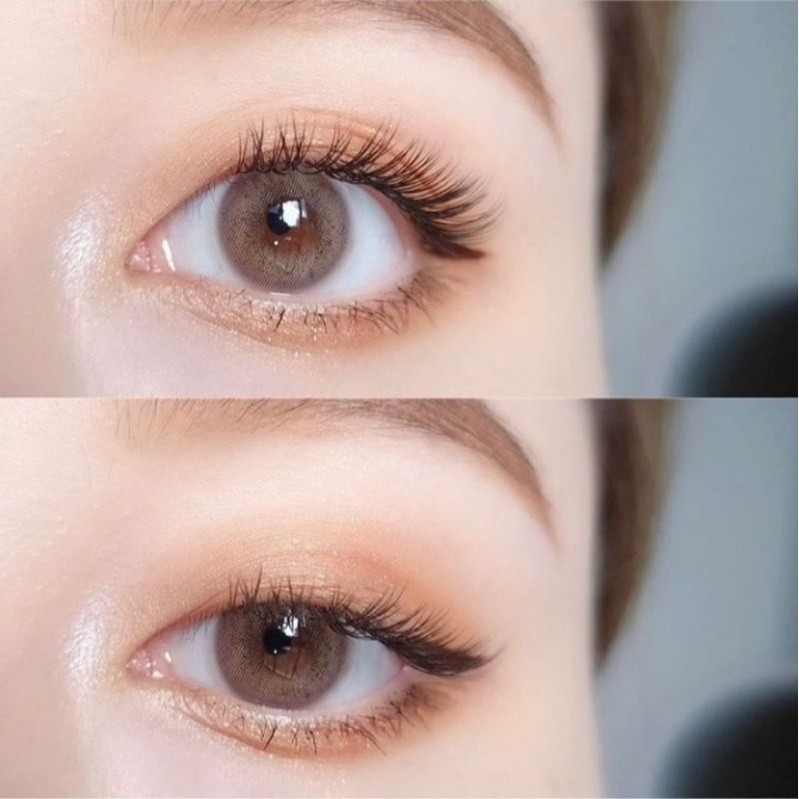 คอนแทคเลนส์(มินิ) Ceencon (Gaezz Secret) สี : Brown / Gray รายเดือน มีค่าสายตา
