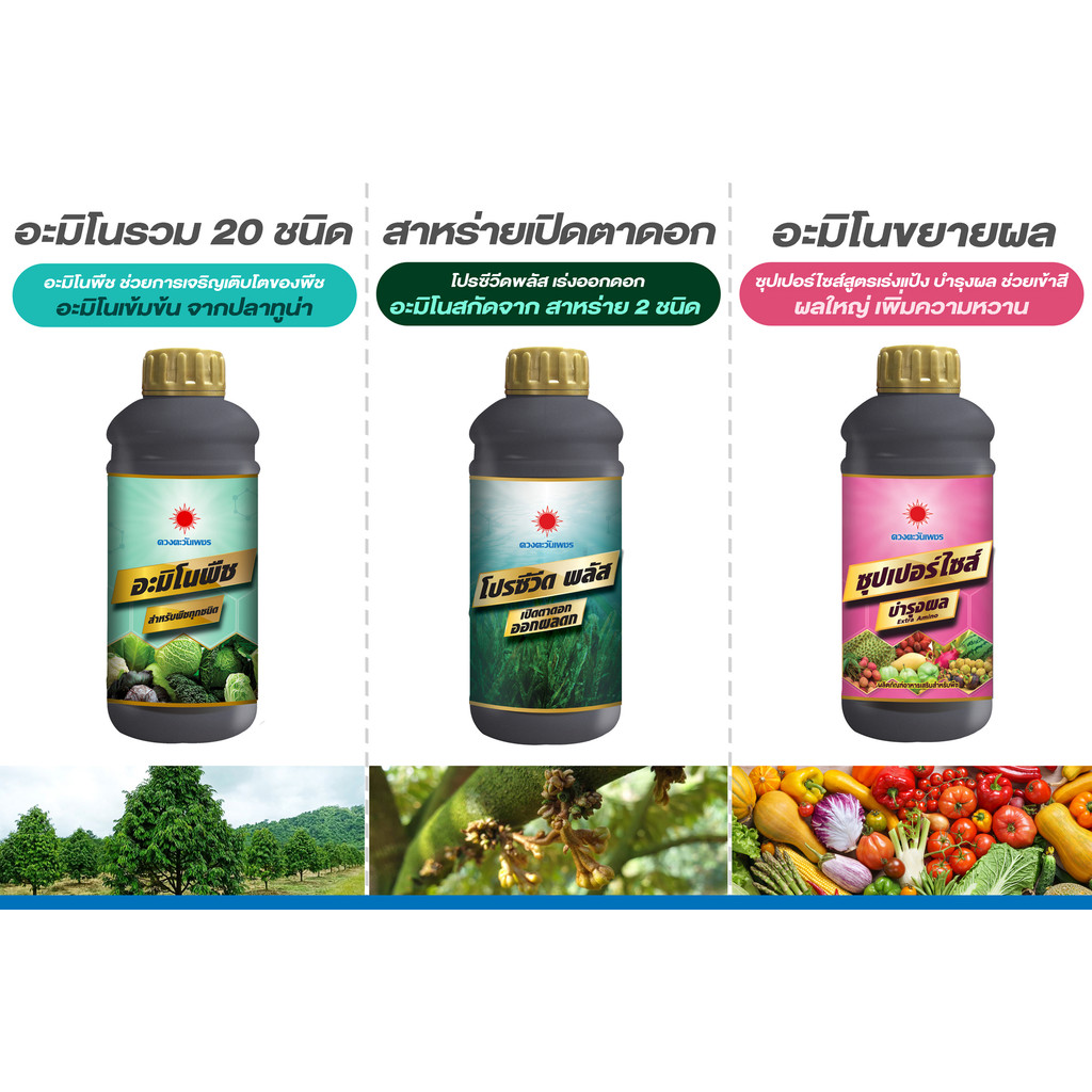 ปุ๋ยน้ำ ดวงตะวันเพชร ธาตุหลัก ธาตุรอง ธาตุเสริม อะมิโนบำรุงผล #ดวงตะวันเพชร ราคา ถูกที่สุด ดีลบีเคเค แกลเลอรีภาพที่ 6