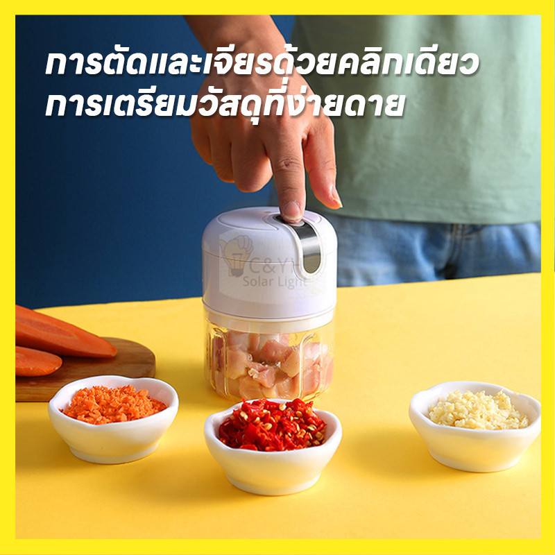 โปรหนัก เครื่องปั่นกระเทียม 150/250ML ไร้สาย พริก USB ปั่นละเอียดบดเนื้อ บดกระเทียมไฟฟ้า
