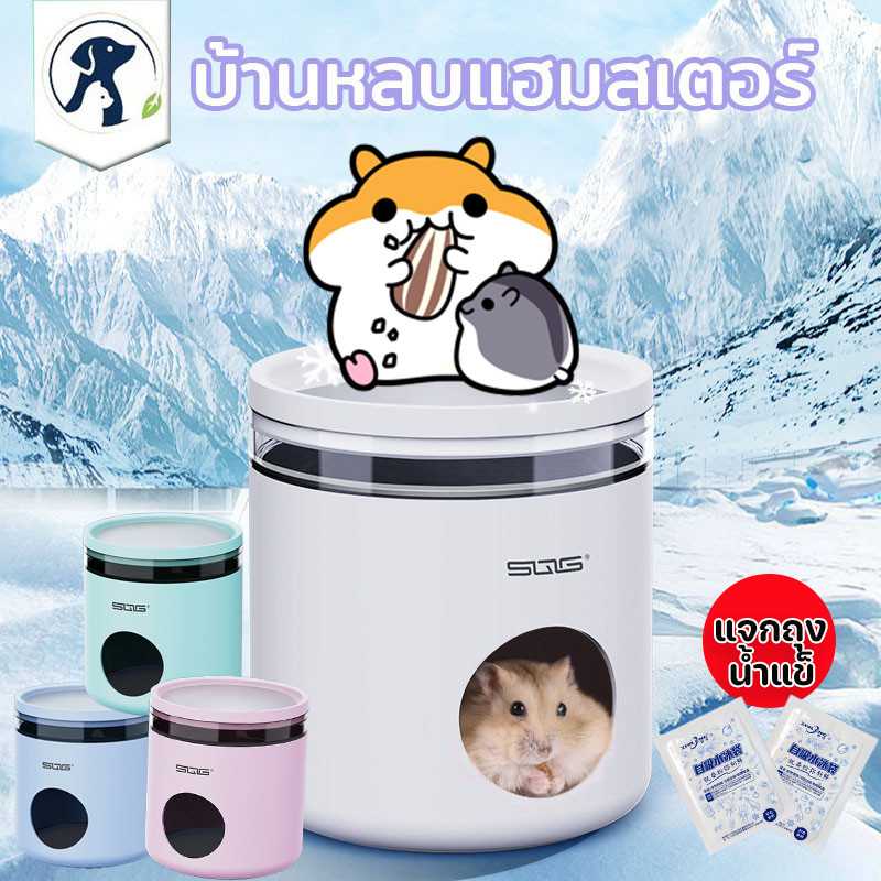 DOME PETบ้านแฮมสเตอร์ บ้านหลบแฮมสเตอร์ สำหรับสัตว์เลี้ยง เย็น บ้านหนูตะเภา