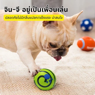 CODของเล่นสัตว์เลี้ยง ของเล่นสุนัขขัดฟัน ลูกบอลสุนัขมีเสียง Giggle Glow Ball ลูกบอล สุนัข ของเล่นสุนัขมีเสียง