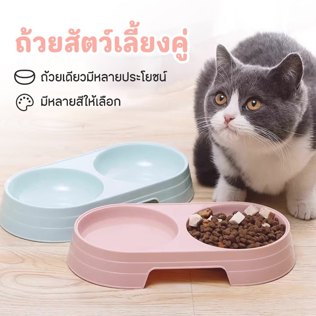 ชามอาหารแมว ชามอาหารหมา สุนัข ราคาถูก ชามอาหารสัตว์เลี้ยง แบบ2หลุม 🔥 พร้อมส่ง 🔥 - รูปที่ 2