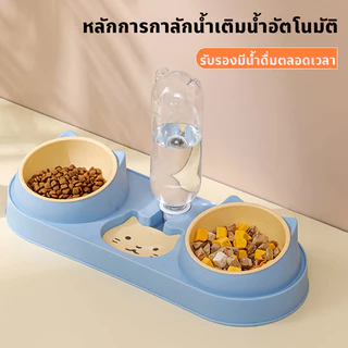 ชามแมว 3 ใน 1 ชามอาหารแมว เครื่องจ่ายน้ำอัตโนมัติ ป้องกันการพลิกคว่ำ ปากเปียกหลักฐาน ถอดได้