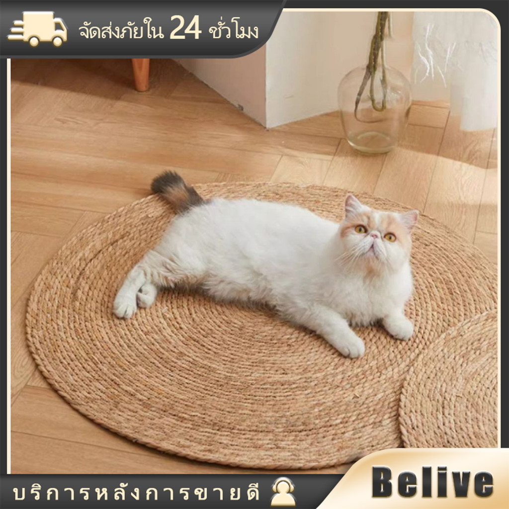 พรมลับเล็บแมว 80ซม.100ซม.แผ่นลับเล็บแมวขนาดใหญ่ ที่นอนแมว กันข่วน