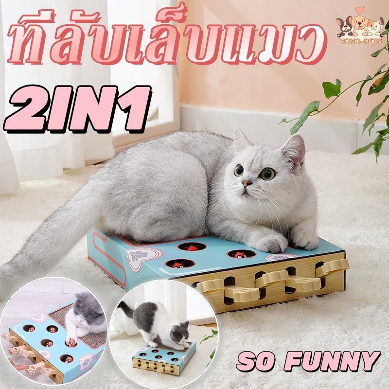 😻พร้อมส่ง🐾2in1 ที่ลับเล็บแมว ของเล่นแมว กล่องแมวตบ กระดาษลูกฟูก โซฟาลับเล็บแมว