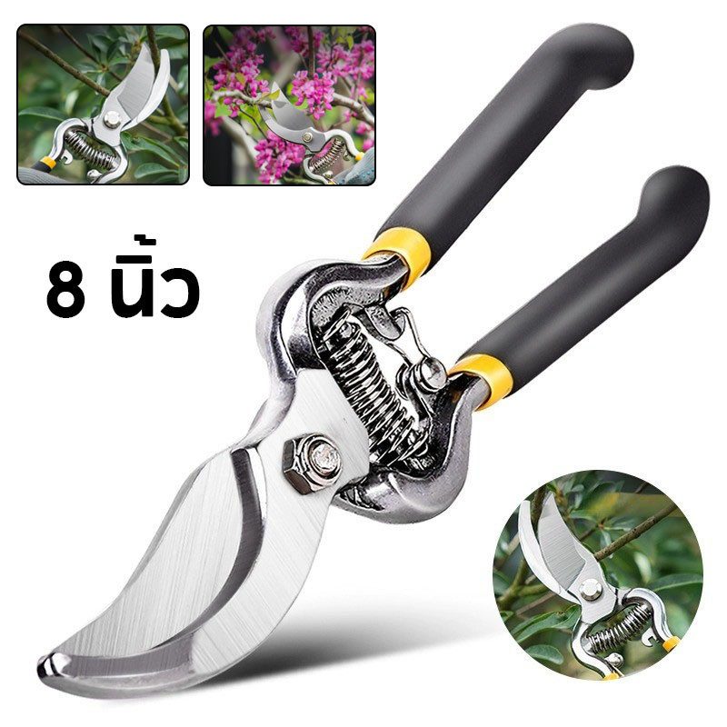 พร้อมส่ง กรรไกรตัดกิ่งไม้ 8 นิ้ว กรรไกรตัดกิ่ง กรรไกรทำสวน Pruning Shears เครื่องมือจัดทำสวน