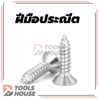 Flat Head Phillip Tapping Screw สกรูเกลียวปล่อยสกรู สแตนเลส ทุกความยาว เกรด304