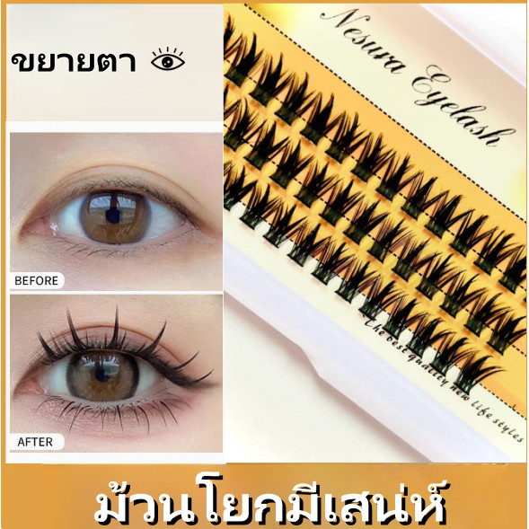 DIY ดอกทานตะวันขนตาปลอม - ขนตากาวในตัวคลัสเตอร์เดี่ยว - C Curl Bonded Segmented False ปลอม lash 3 แถว จุของได้เยอะ
