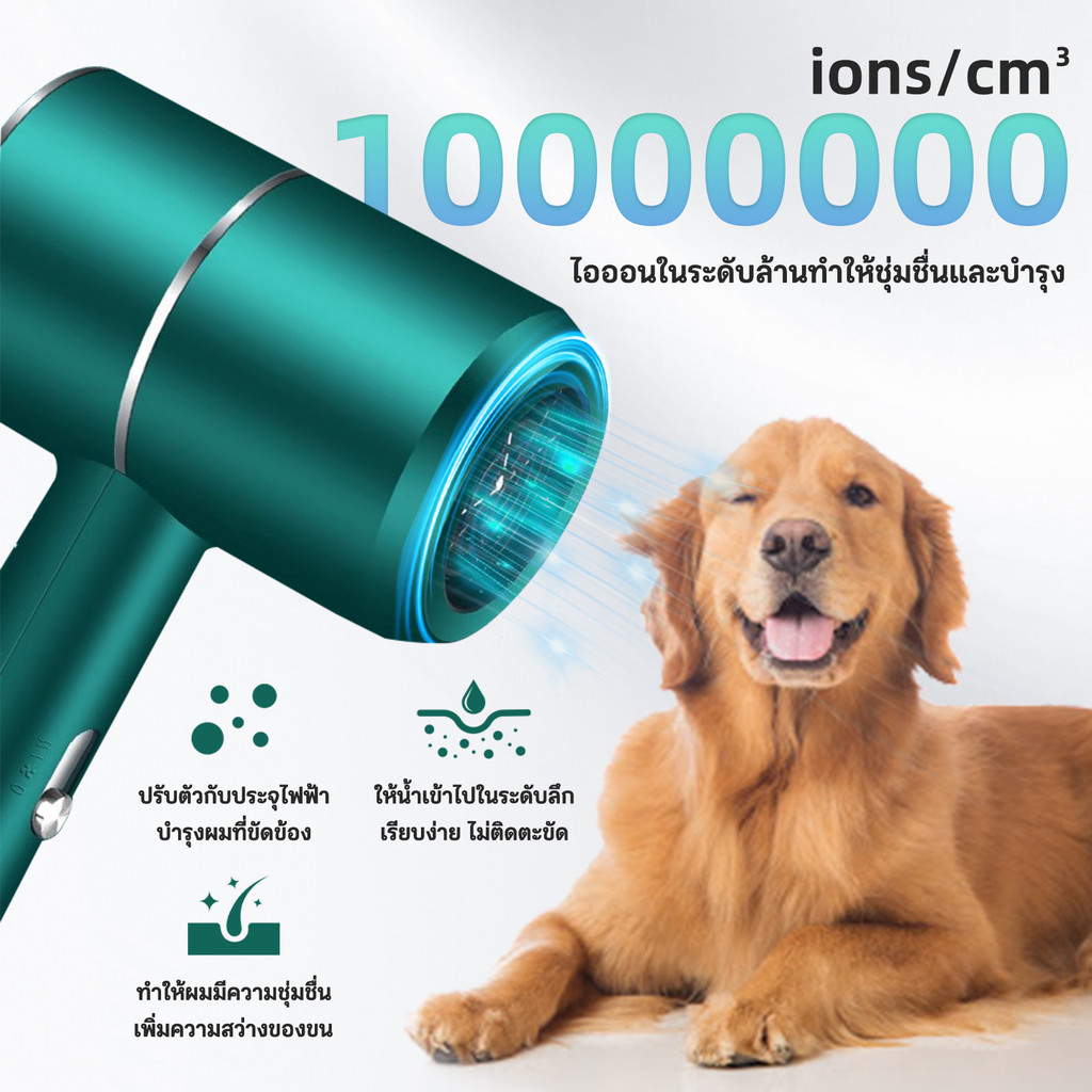 2800W ต่ำเสียงสัตว์เลี้ยงตัวเป่าลูกสุนัขตัวเป่าแมวเสียงต่ำเสียงต่ำผมฟาสต์เพ็ทเลี้ยงสัตว์เลี้ยงให้แห้ง