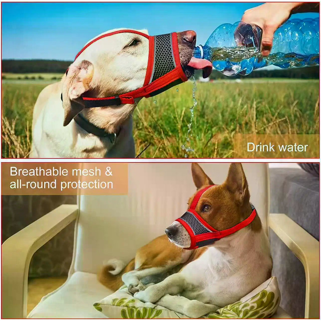 ตะกร้อครอบปากสุนัข Breathable Drinkable Mesh Muzzle Anti Bite Barking Chewing Grooming Muzzle พร้อมสายสะท้อนแสงแบบปรับได้