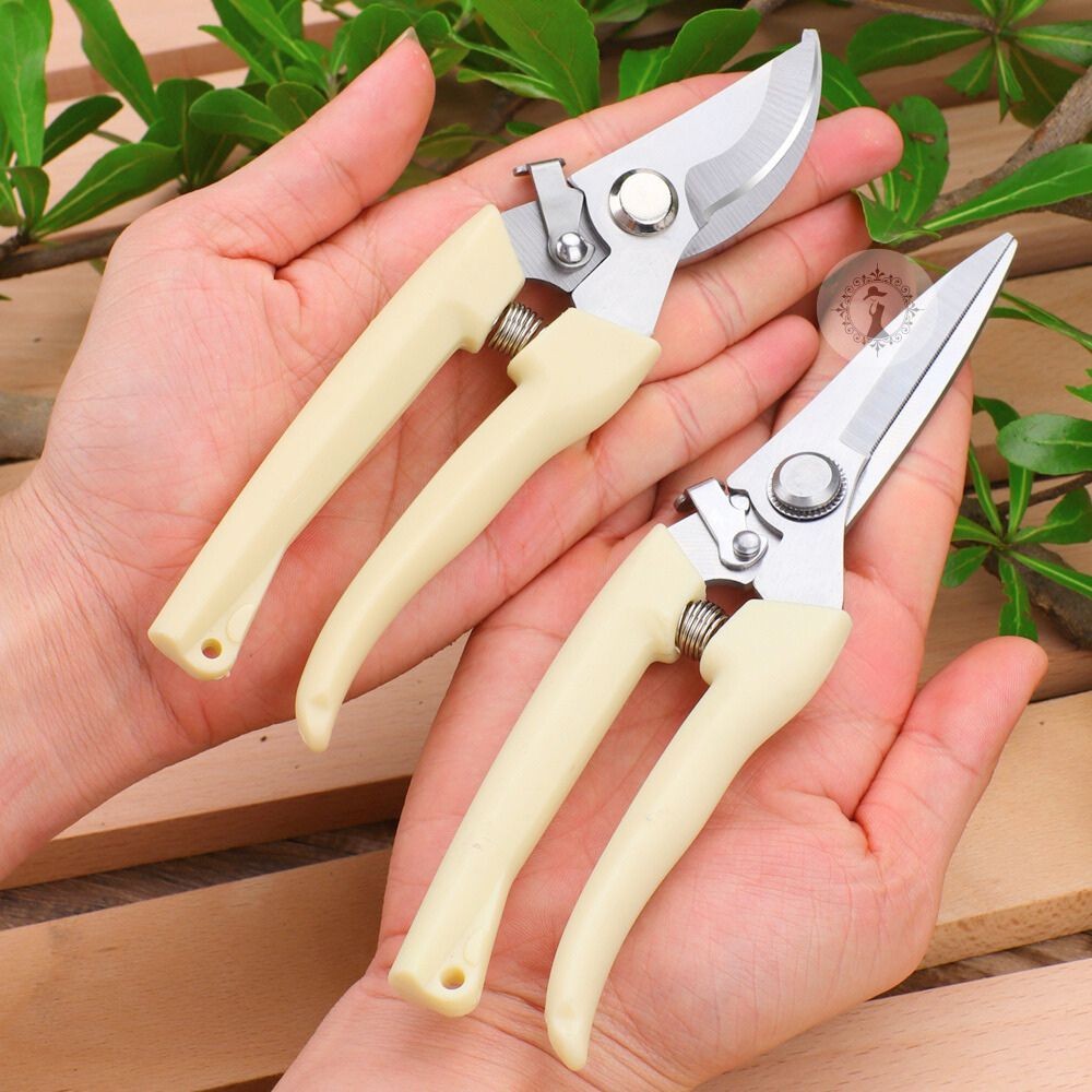 กรรไกรตัดกิ่งไม้ ตกแต่งต้นไม้ ด้ามจับสีครีม แบบปากโค้ง 17 cm / ปากตรง 19 cm พร้อมปุ่มล็อคเปิด-ปิดใบมีด ส่งในไทย!!!