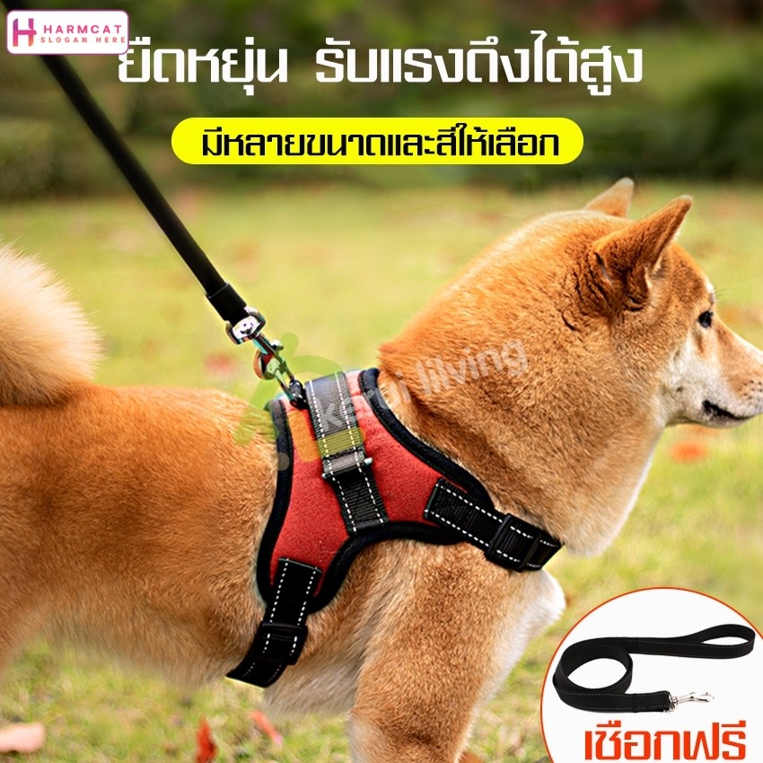 Harmcat สายรัดอกสุนัข สายจูงสัตว์เลี้ยง