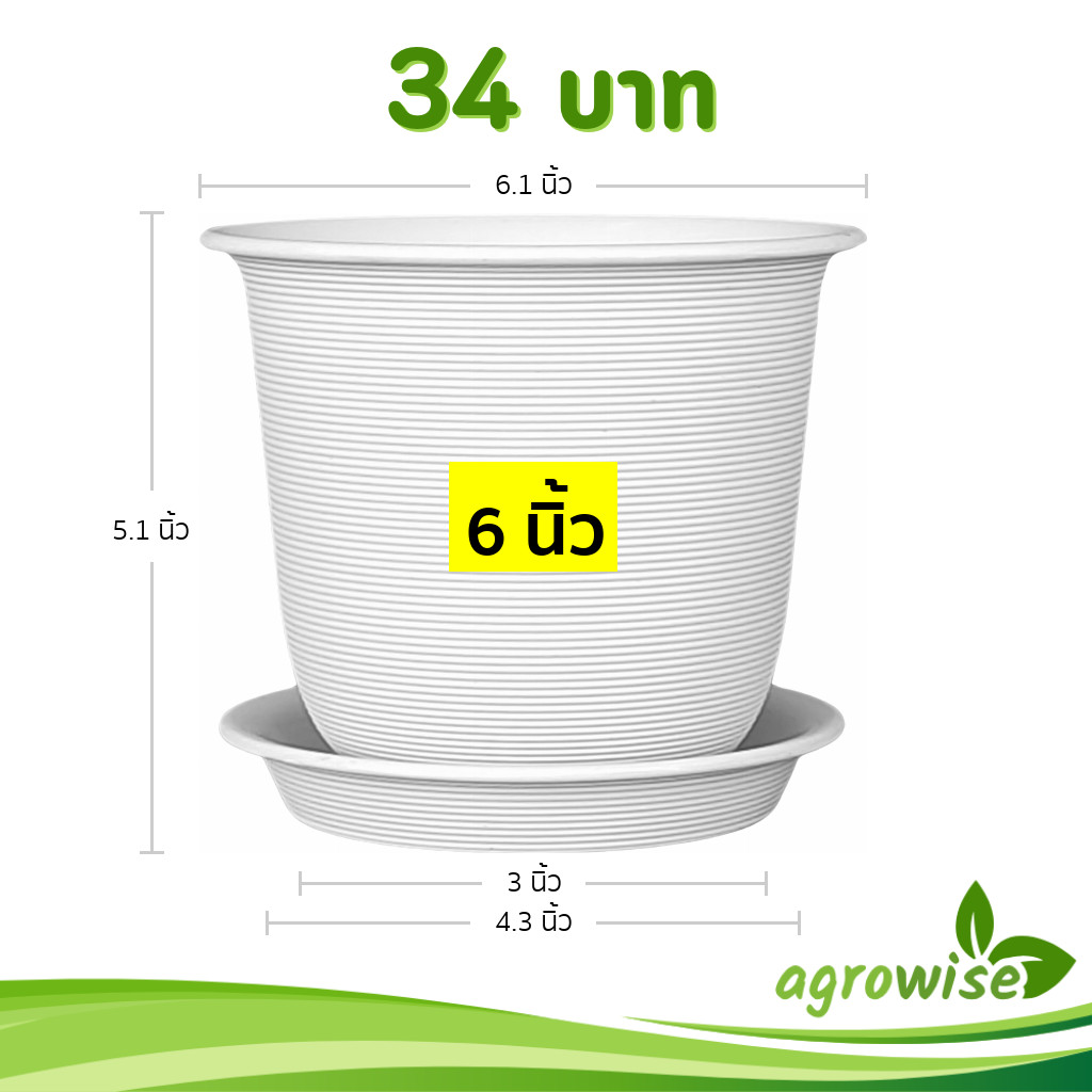 กระถาง กระถางต้นไม้ มินิมอล จัมโบ้+จาน ขนาด 6 นิ้ว สีดำ สีขาว สีเทา สีอิฐ สีโอ๊ค