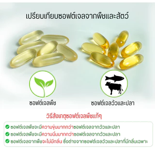 IMMOR น้ำมันงาดำสกัดเย็น 1,000 มก.(6 กระปุก แถม 20 แคปซูล 2 กระปุก)
