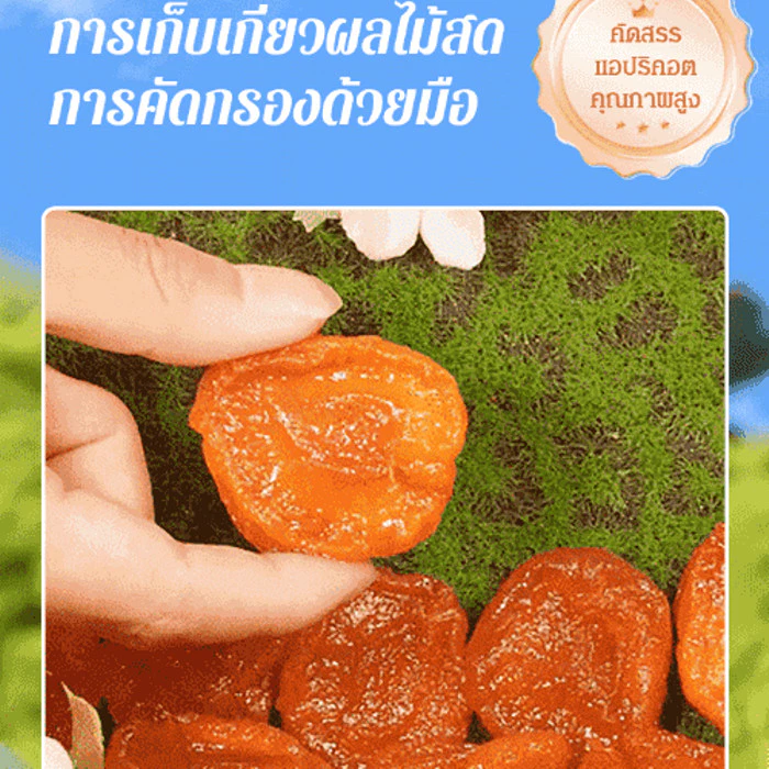 ของแท้ 100%[หอมหวานนุ่มนิ่ม]แอปริคอตอบแห้ง ไม่มีเมล็ด ไม่มีสารเติมแต่ง ขนมถั่วแห้งเพื่อสุขภาพแสนอร่อย/ผลไม้เชื่อมไร้เมล็ด thumbnail 8