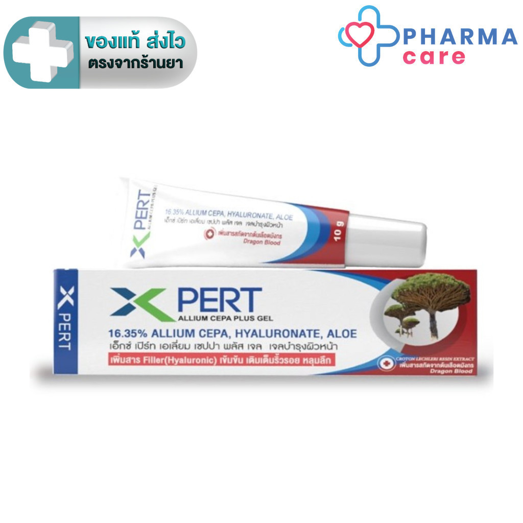 X Pert Allium Cepa Plus Gel เพิ่ม Hyaluronic และ สารสกัดจากต้นเลือดมังกร สูตรอ่อนโยน 10 g.[PC]