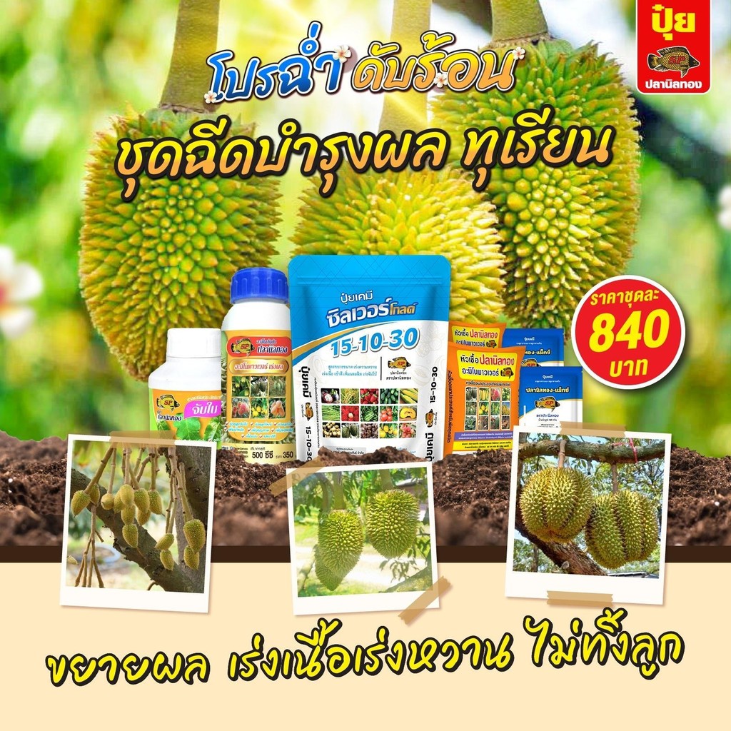 ปูย ชุดฮอร์โมนน้ำ ฉีดเร่งผลทุเรียน ขยายลูก เร่งเนื้อ เข้าสี ราคา 840 บาท