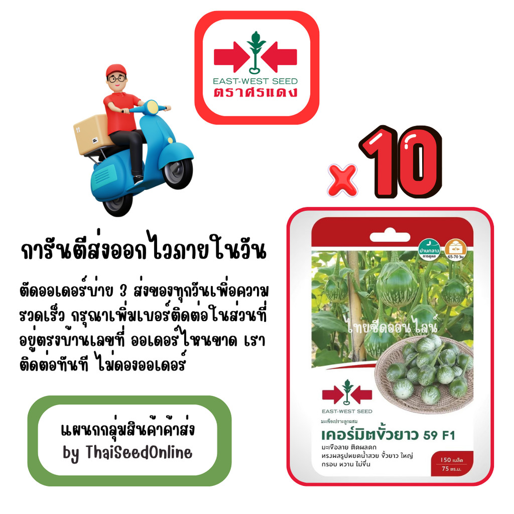 GG x 10 เมล็ดผักซองศรแดง เคอร์มิตขั้วยาว59 มะเขือเปราะคางกบ สินค้ายกแพ็ค