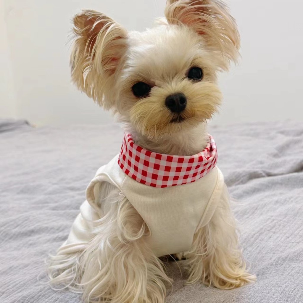 เสื้อผ้าสุนัข Yorkshire Pet Maltese Vest Bear Teddy Cowboy Cat Summer Thin Spring Summer