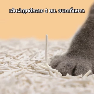 Cat litter 6L ทรายเต้าหู้ ออร์แกนิค100% ผลิตจากกากถั่วเหลืองธรรมชาติ ทรายแมว ทรายแมวเต้าหู้