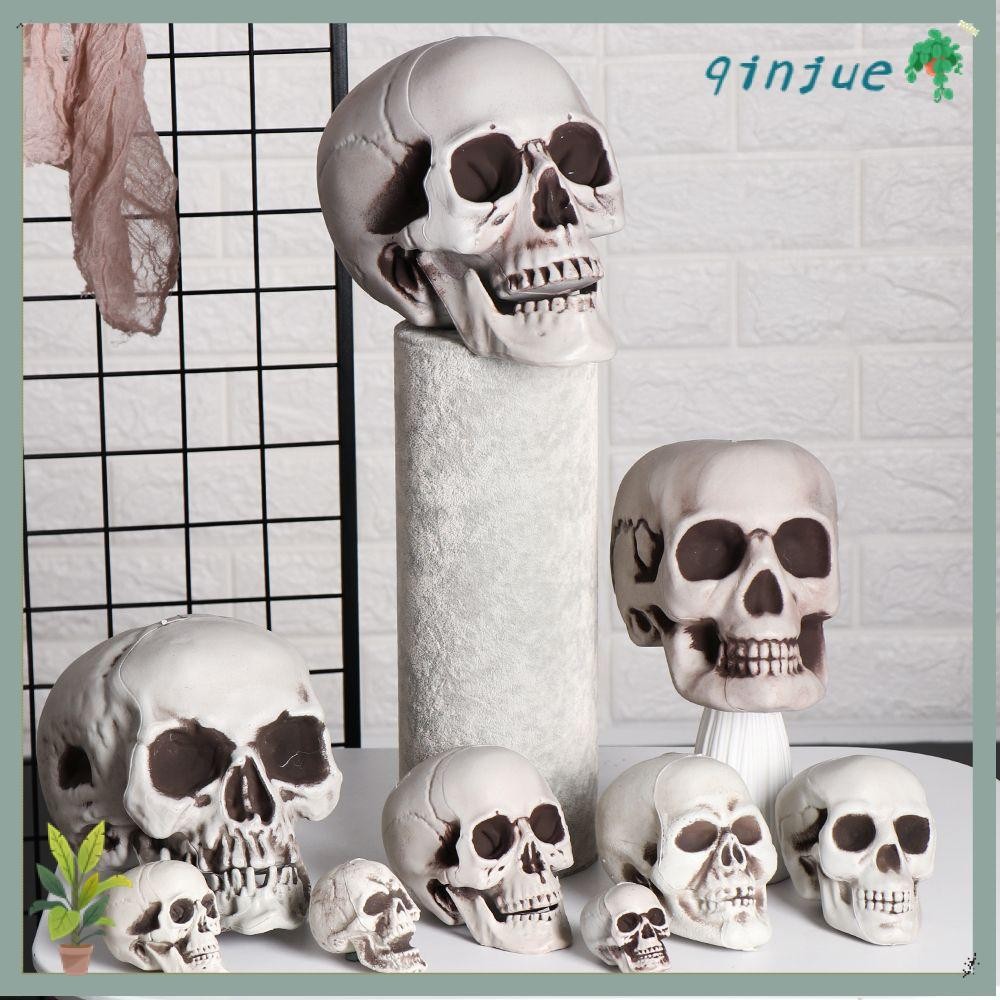 Qinjue หัวกะโหลก สําหรับตกแต่งบ้าน 1 ชิ้น